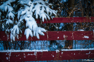 Snow and Red Fence