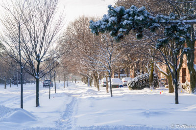 The Dog Walker in Winter