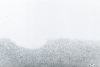 Snow on Windowsill