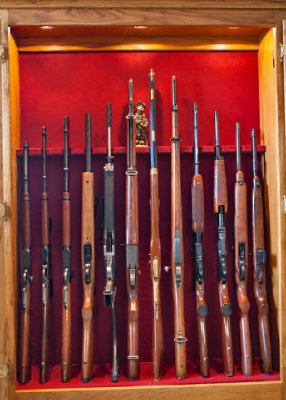 5797 Gun cabinet 2019