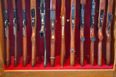 5801 Gun cabinet 2019