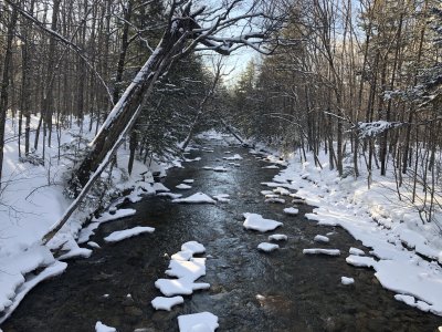Liberty and Flume 28Jan2019