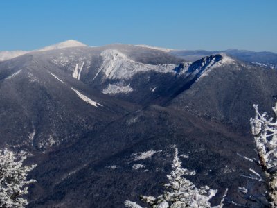 IMG_1715.jpg