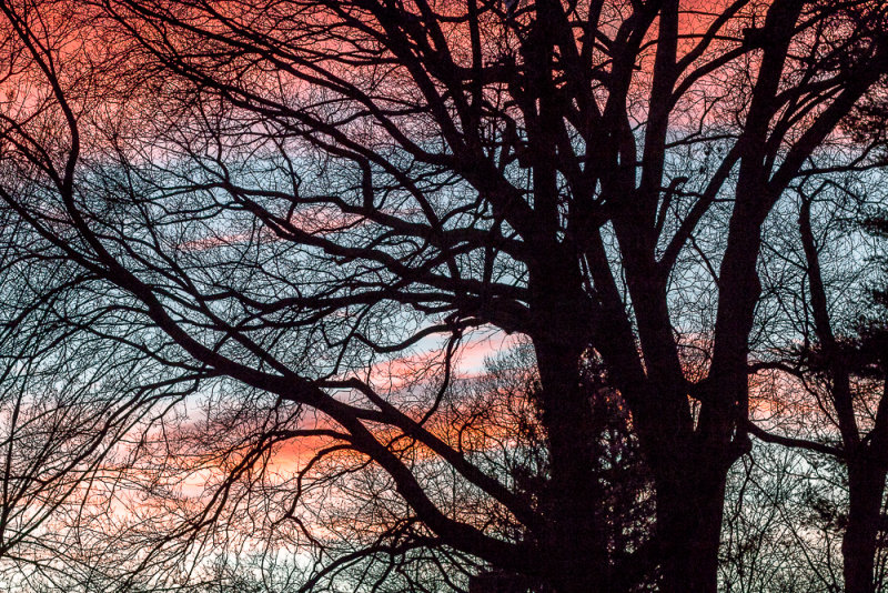 From My Front Porch the Other Night