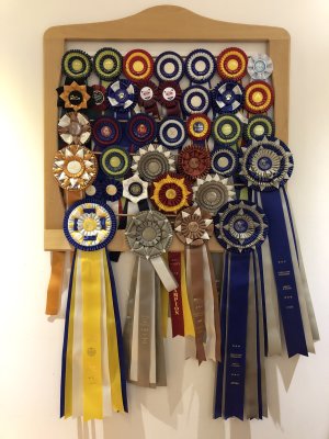 The other ribbons