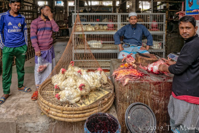 Chicken Market