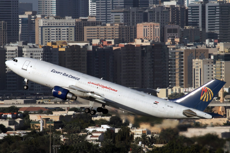 EGYPT AIR CARGO AIRBUS A300 600F DXB RF IMG_1656.jpg