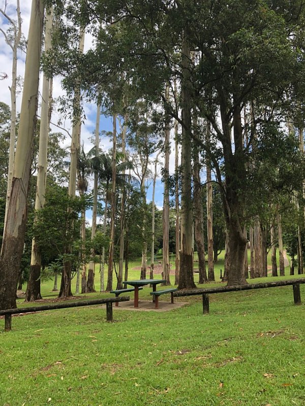 Picnic in the Park