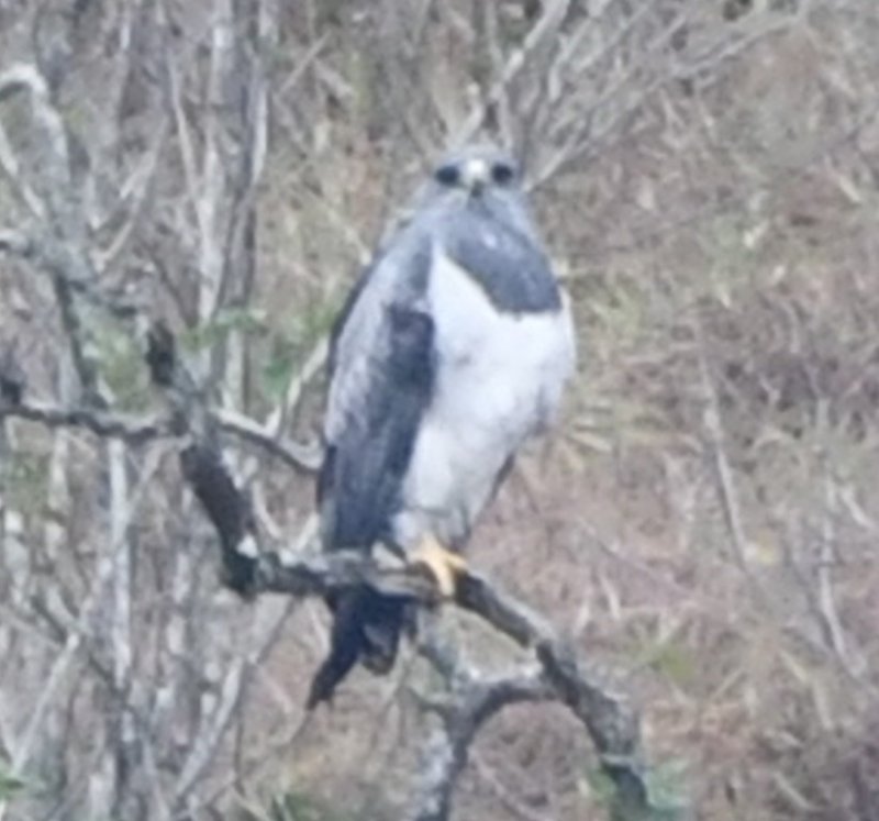 DSC_7027b.jpg