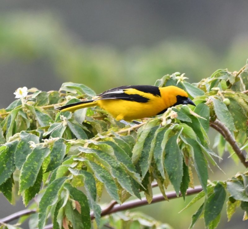 DSC_7359b.jpg