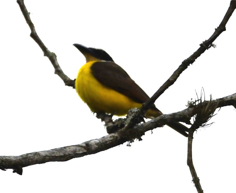 DSC_7489b.jpg