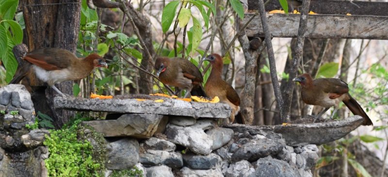 DSC_7756b.jpg