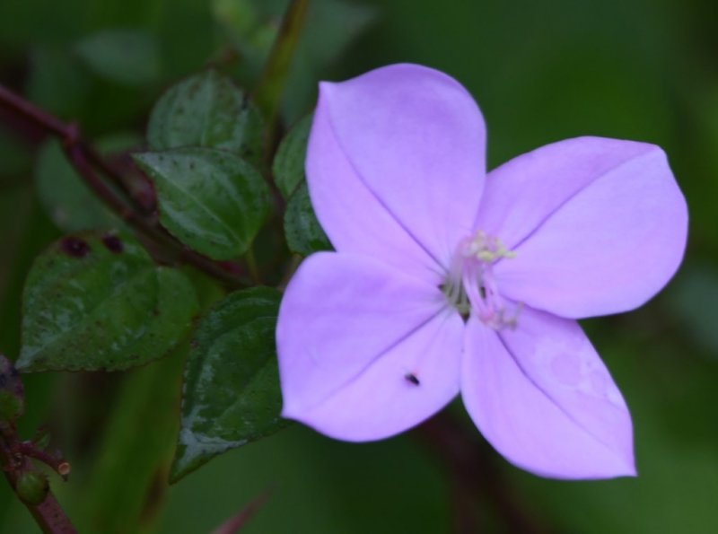 DSC_9313b.jpg