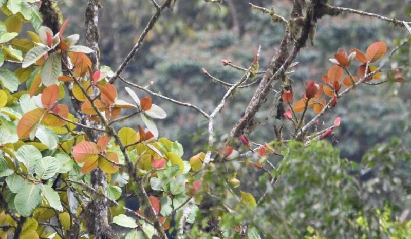 DSC_9497b.jpg