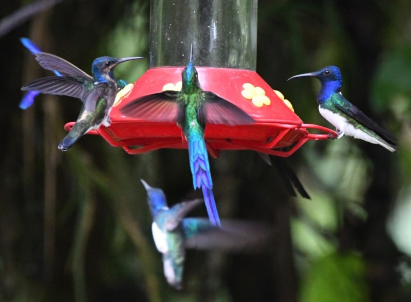DSC_9535b.jpg