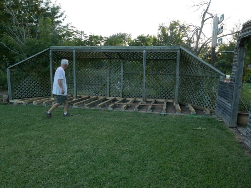P1020659.jpg