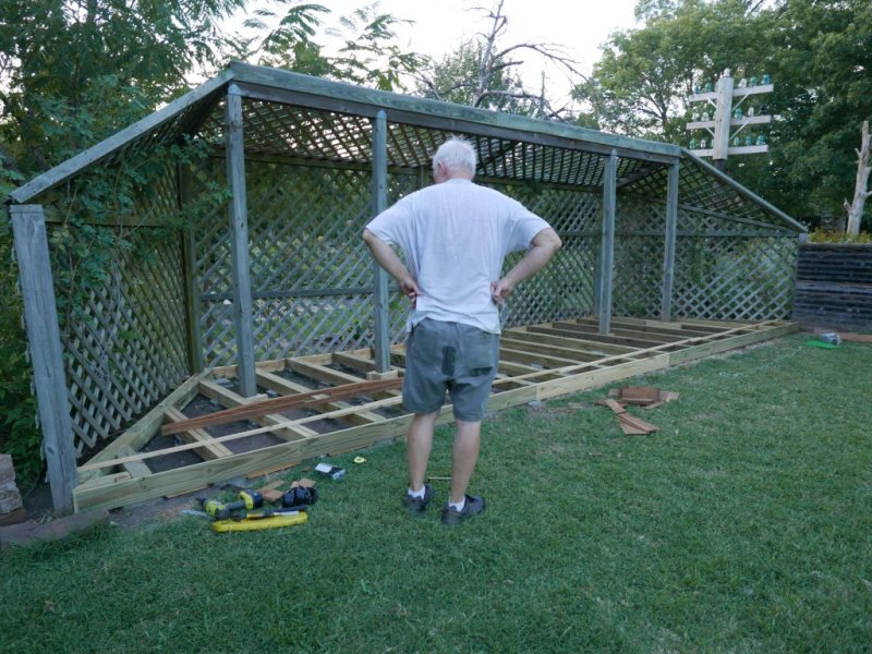 P1020723.jpg