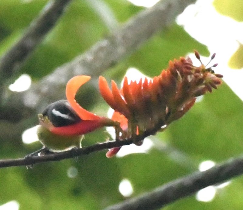 DSC_0255b.jpg