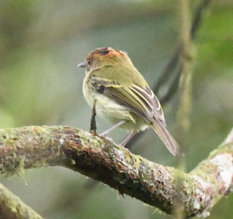 DSC_0853b.jpg