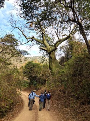 Leo (behind), Michael, Patty, Lelis and Kannan take the lead.