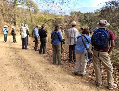 Patricia, Ann, Bruce, Jerry (behind), Michael, Allan, Patty, David (behind), Lelis, Mary, Kannan watching and waiting along the road