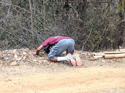 Dr Kannan was going all out trying to find an antpitta.