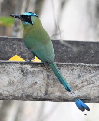 DSC_7655b.jpg