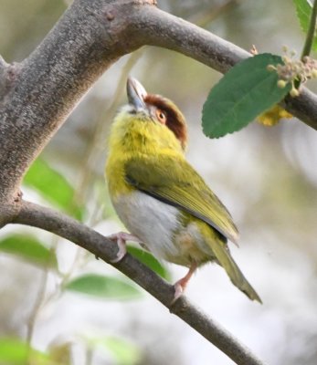 DSC_7696b.jpg