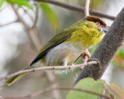 DSC_7697b.jpg