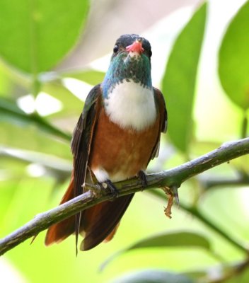 DSC_8160b.jpg