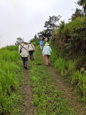 Bruce, Ann and Carolyn follow Mary and the others up the hill