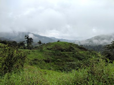 Misty mountains of the cloud forest