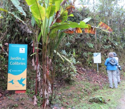 The sign to the Hummingbird Garden (Jardn de Colibres) at the left of the trail