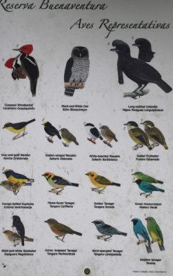 Sign of birds at Buenaventura Reserve