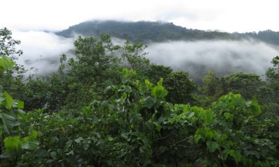 It rained much of the night and the view from the deck showed there were clouds in the cloud forest.