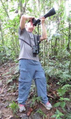 Steve strained to get a photo of the umbrellabird through all the limbs and leaves.