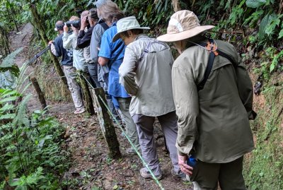 Our group on the Umbrellabird Trail