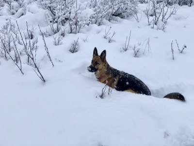 Katie Hatcher Pass 11-18