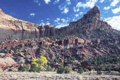 Viewed From Scenic Drive In Capitol Reef National Park, Utah