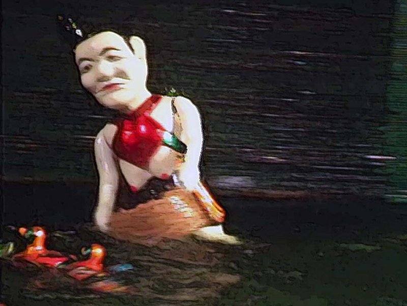 duck herder.jpg