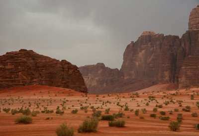 Rain in the desert
