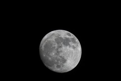 DSC_4401_1024_Resize.jpg