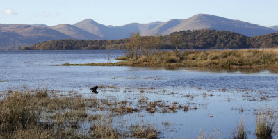 Glen Luss hills from Ring Point, RSPB Loch Lomond