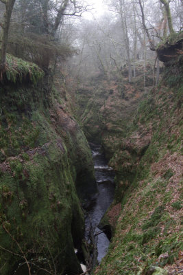 The Finnich Glen gorge