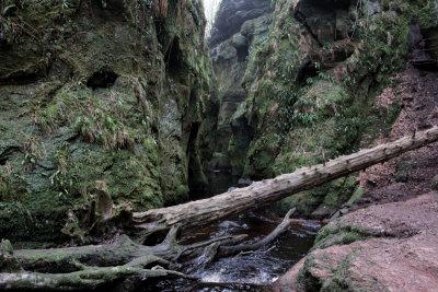 In the gorge by the Devil's Pulpit