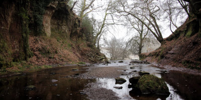 The Finnich Glen gorge