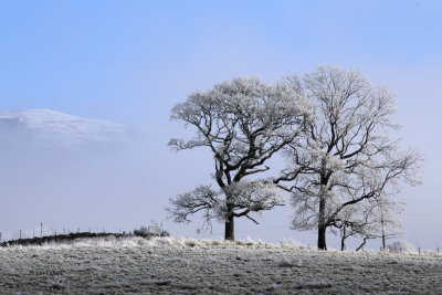 Frosty & foggy morning near Strathblane