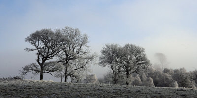 Frosty & foggy morning near Strathblane