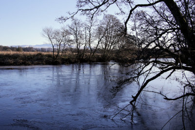 Endrick Water nearly frozen at RSPB Loch Lomond