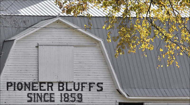 Barn, Matfield Green